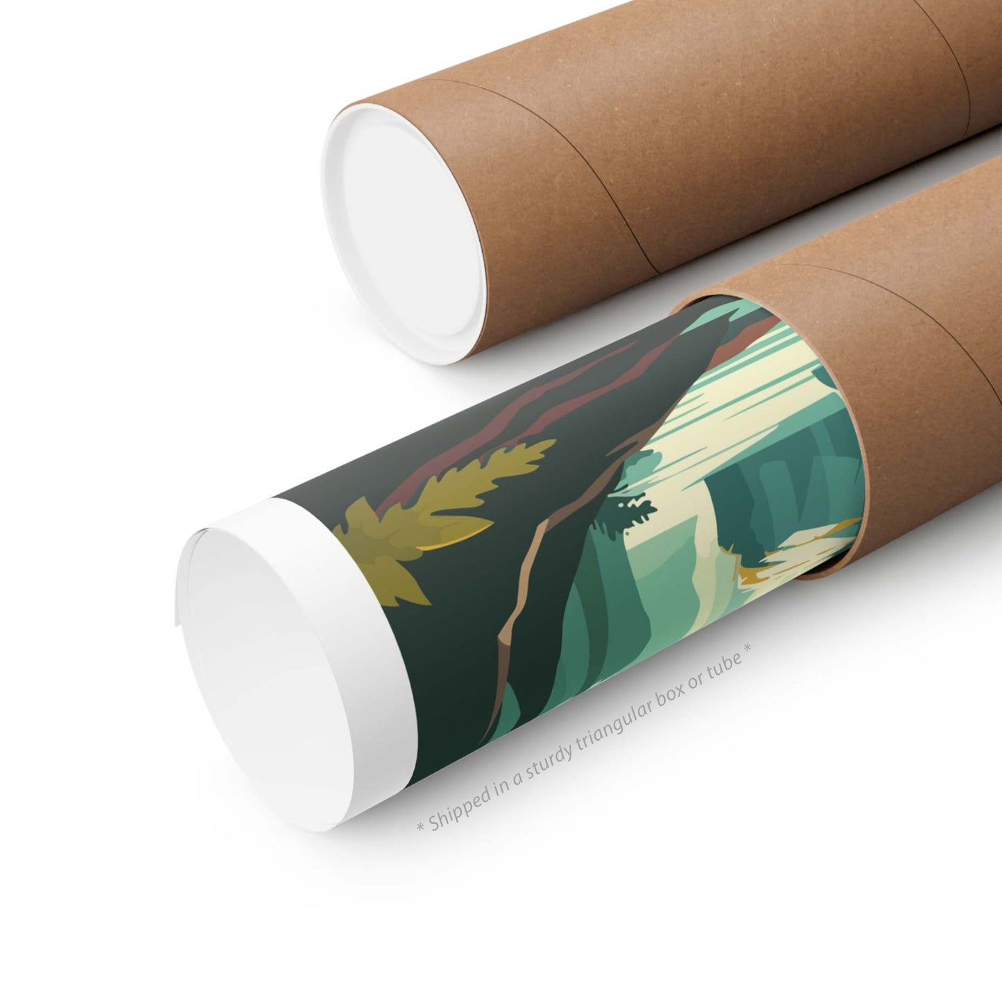 Photosynthesis - Inspired Matte Poster