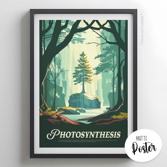 Photosynthesis - Inspired Matte Poster